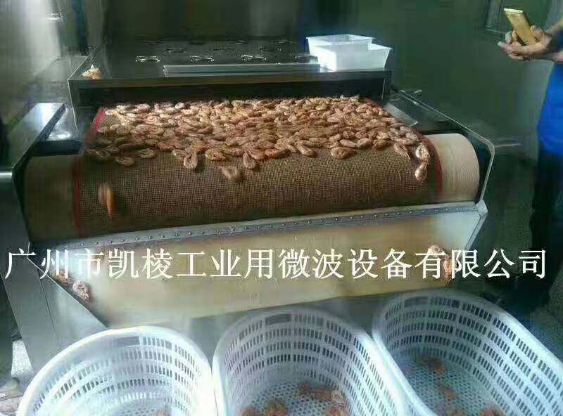 海鮮海蝦殺菌干燥機設備.jpg 海鮮海蝦殺菌干燥機設備.jpg